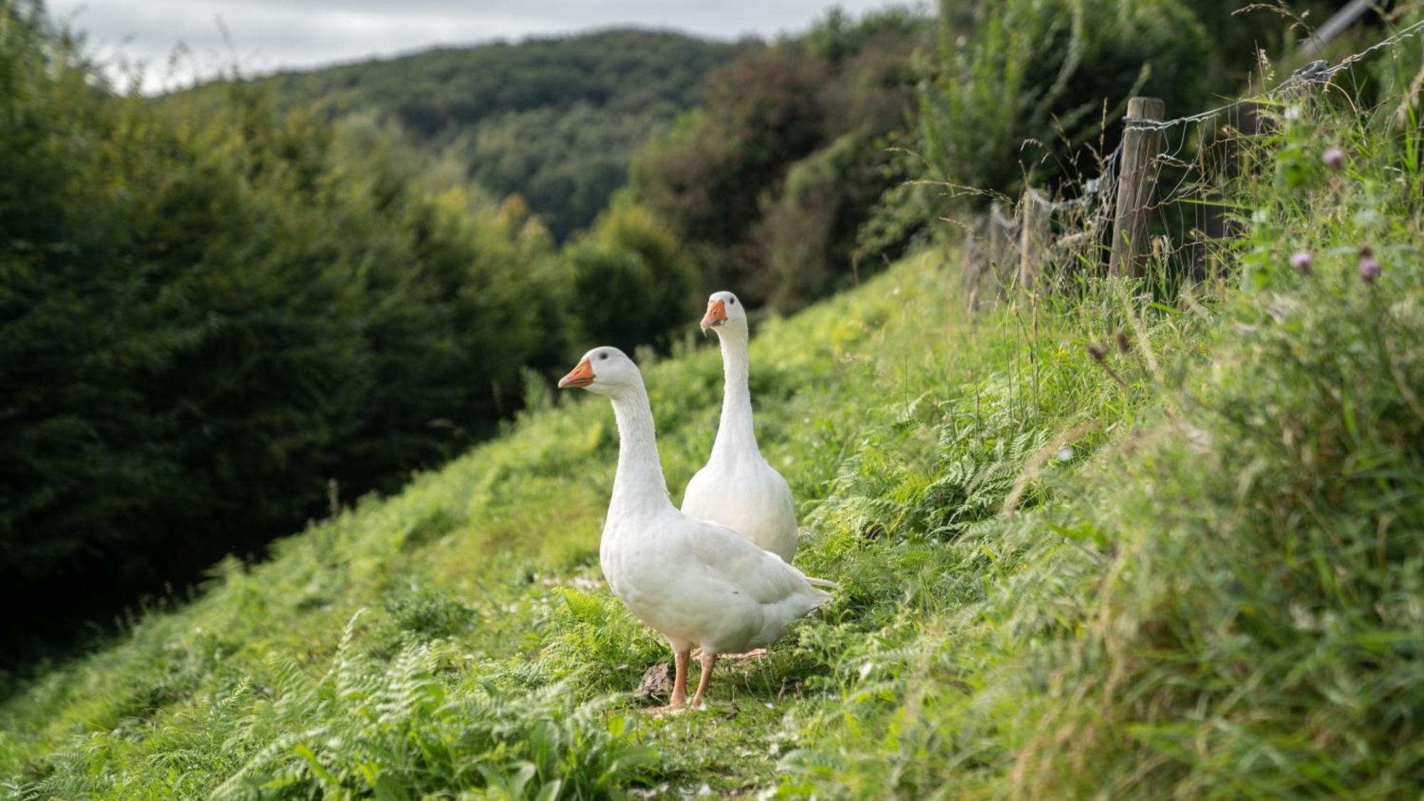 Gite 9 Personnes Fecamp Etretat Colleville Exteriér fotografie