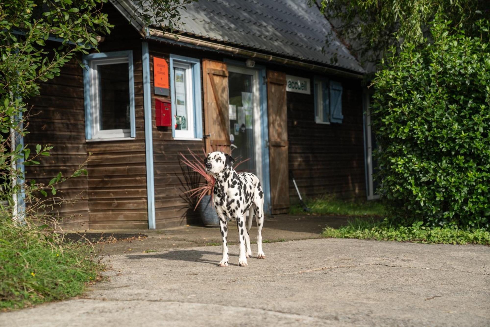 Gite 9 Personnes Fecamp Etretat Colleville Exteriér fotografie