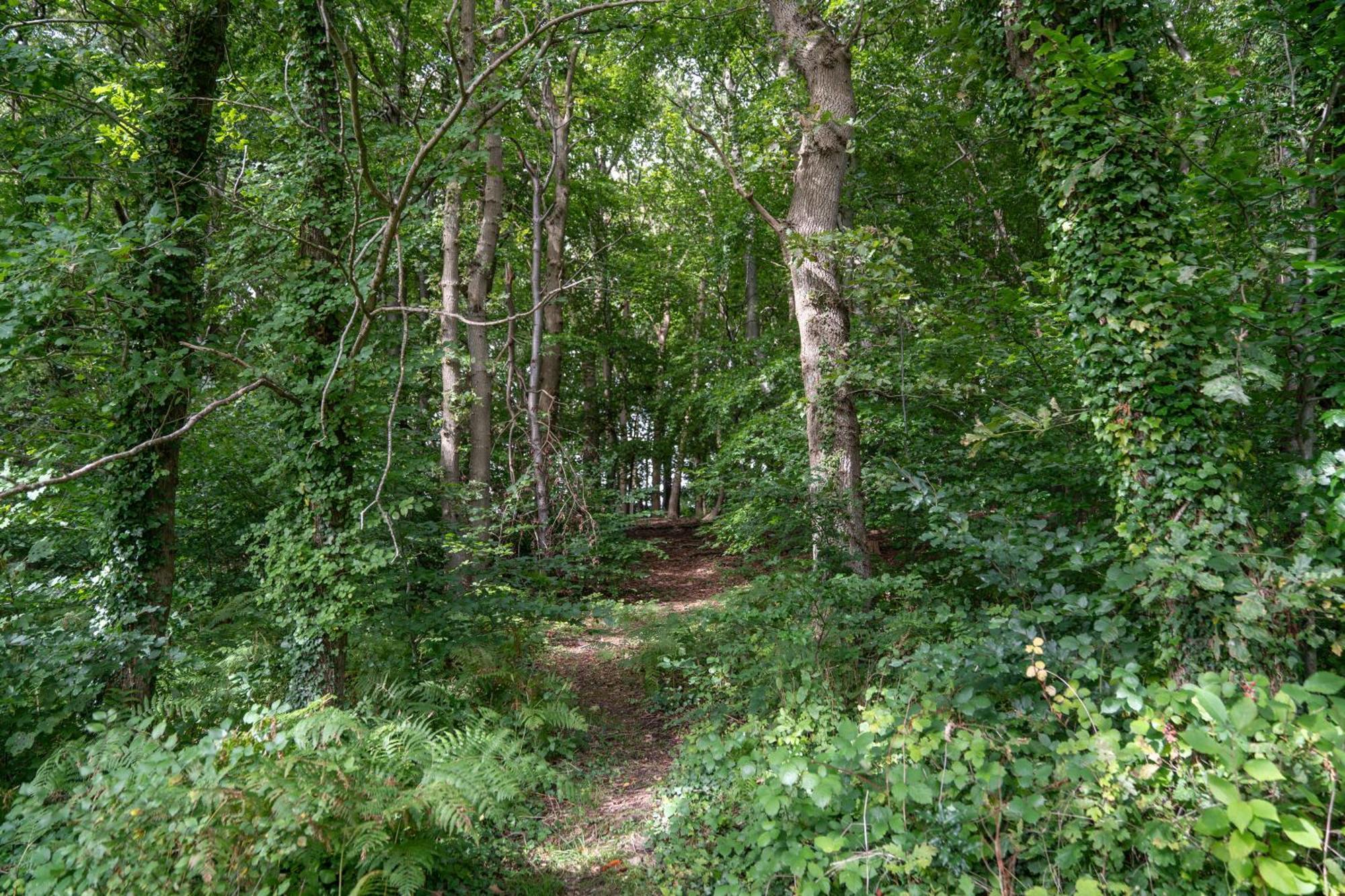 Gite 9 Personnes Fecamp Etretat Colleville Exteriér fotografie