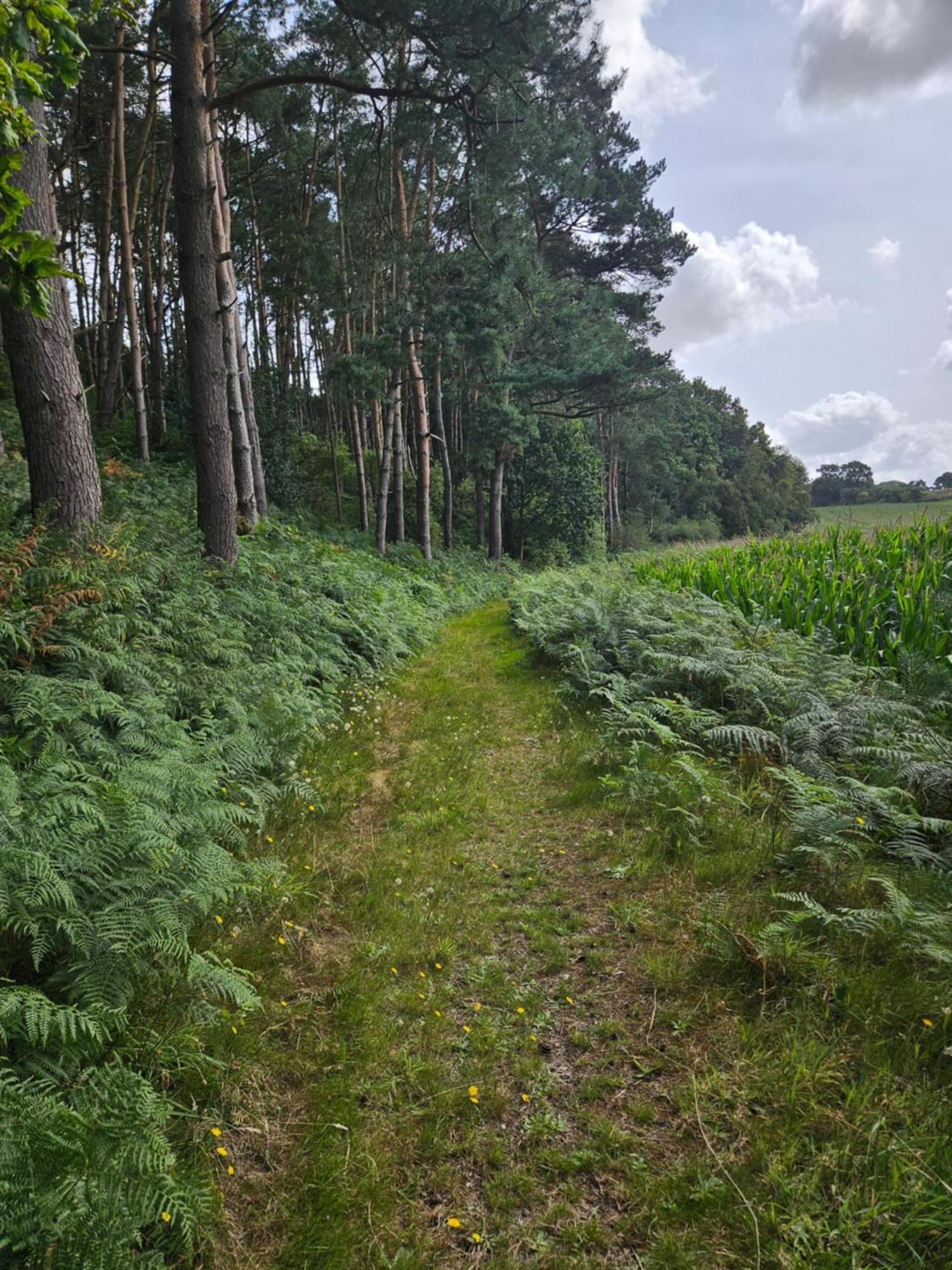 Gite 9 Personnes Fecamp Etretat Colleville Exteriér fotografie